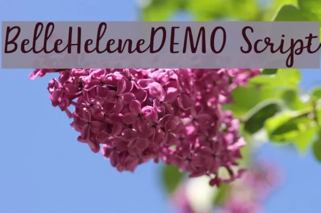 Belle-Helene-DEMO Script Example 1