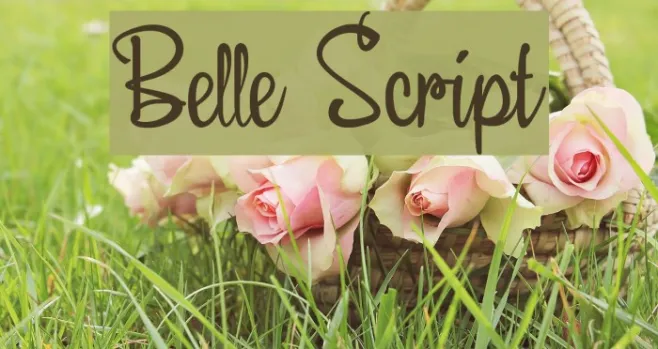 Belle Script Example 1