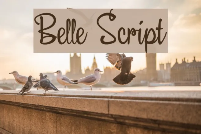 Belle Script Example 3