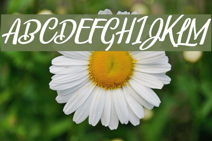 Belle et Belle Personal Use Шрифта examples