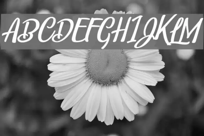 Belle et Belle Personal Use Font examples