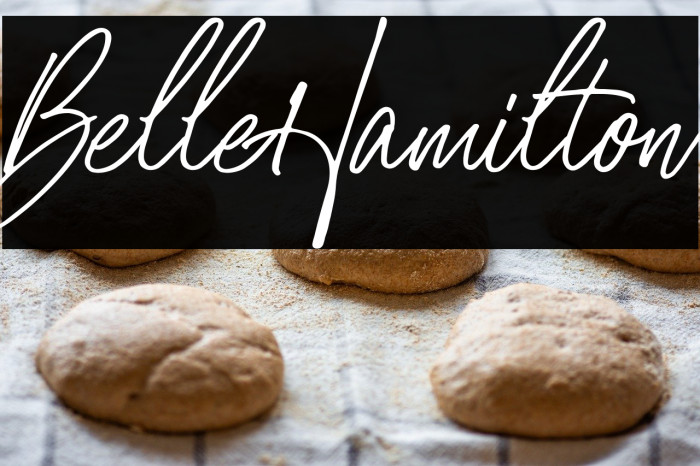 BelleHamilton Example 2