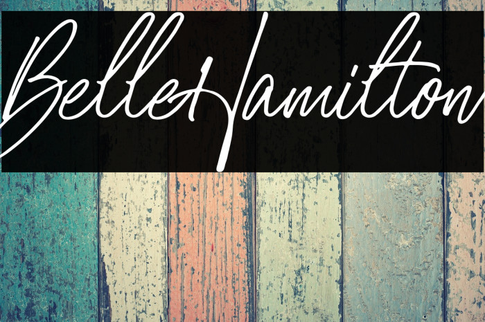 BelleHamilton Example 3