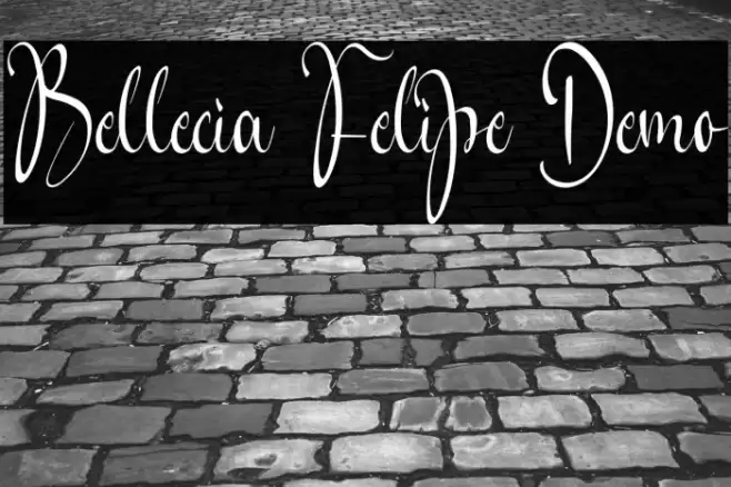 Bellecia Felipe Demo Font examples