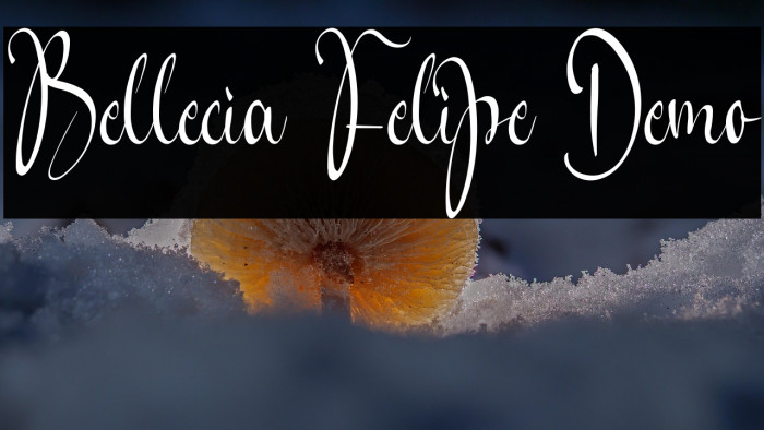 Bellecia Felipe Demo Example 2