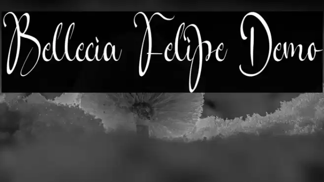 Bellecia Felipe Demo Font examples