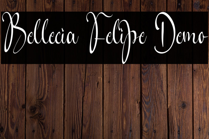 Bellecia Felipe Demo Example 3