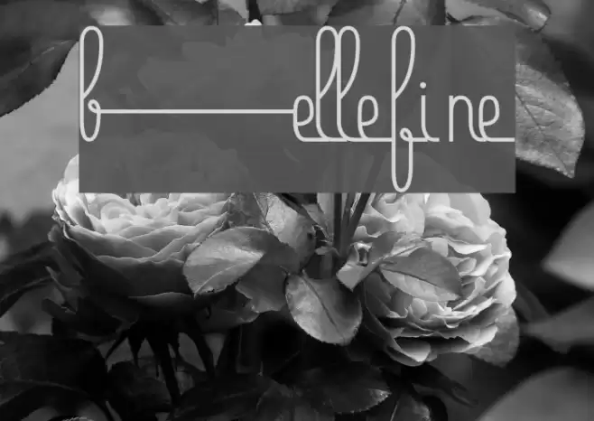 Bellefine Font examples