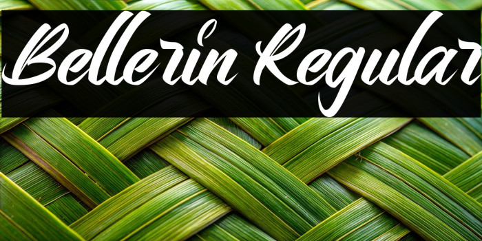 Bellerin Regular Example 2