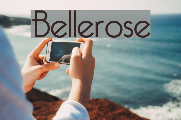 Bellerose Example 1