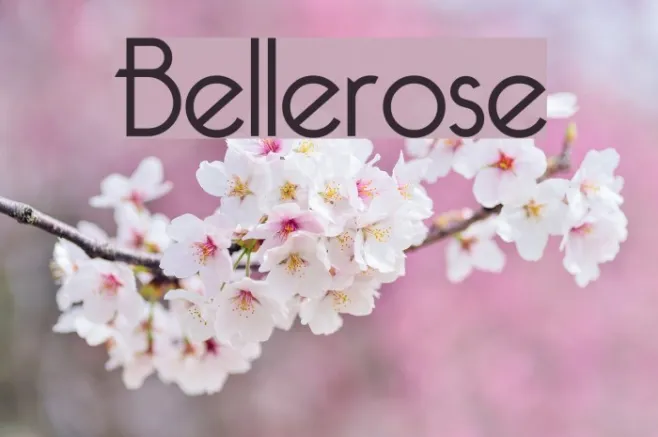 Bellerose Example 3