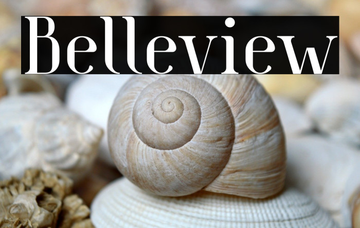 Belleview Example 1