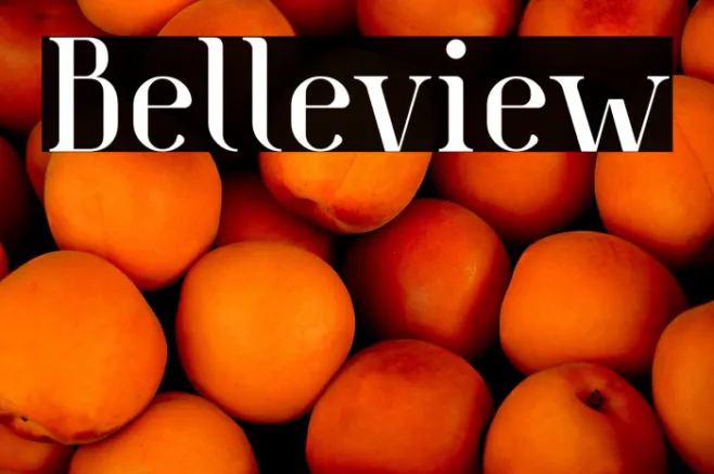 Belleview Example 2