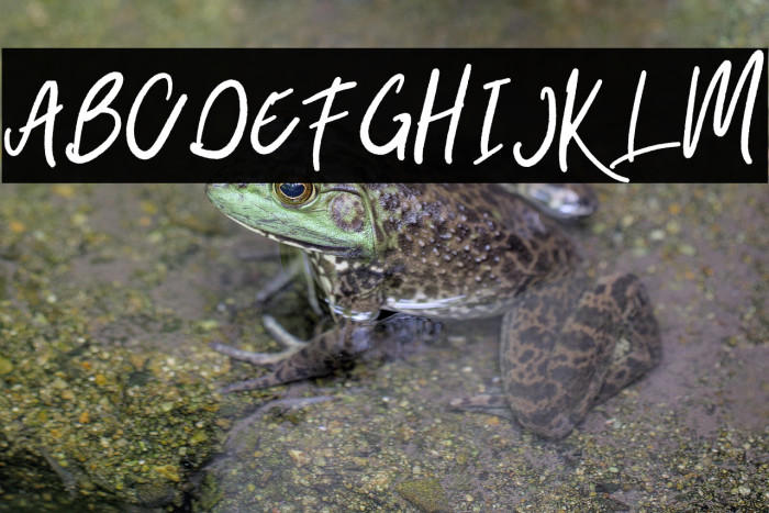 Belley-Regular Example 2