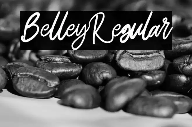 Belley-Regular Font examples