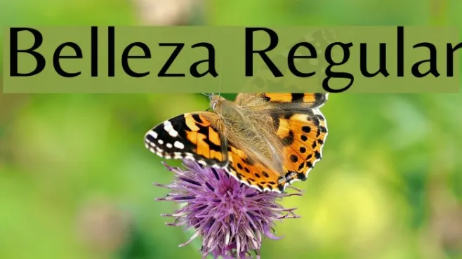Belleza Regular Example 3