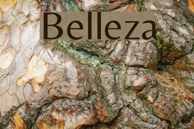 Belleza Example 2