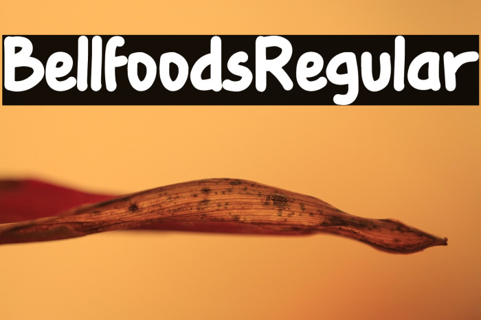 BellfoodsRegular Example 2