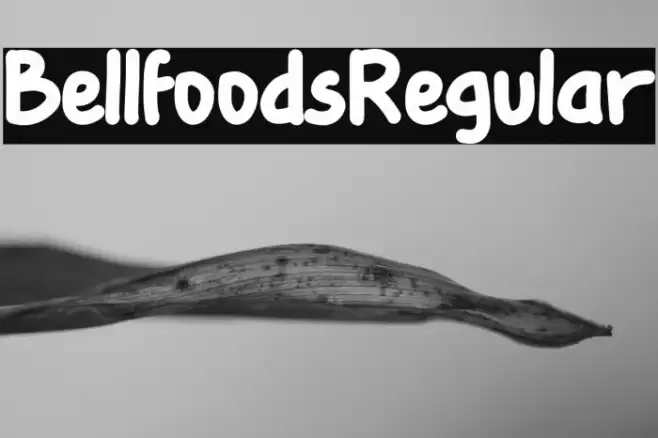 BellfoodsRegular Font examples