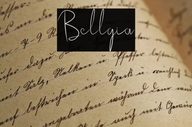 Bellgia Example 1