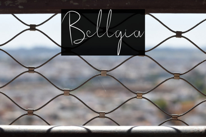 Bellgia Example 2