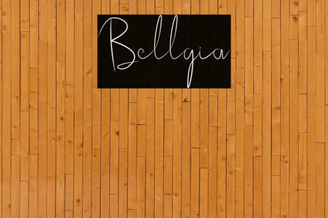 Bellgia Example 3