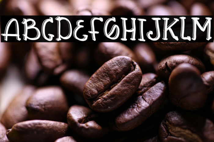 Bellia Holle Example 1