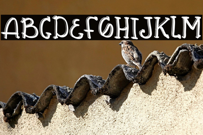 Bellia Holle Example 3