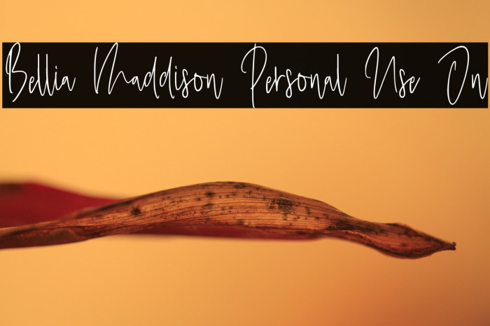 Bellia Maddison Personal Use On Example 1