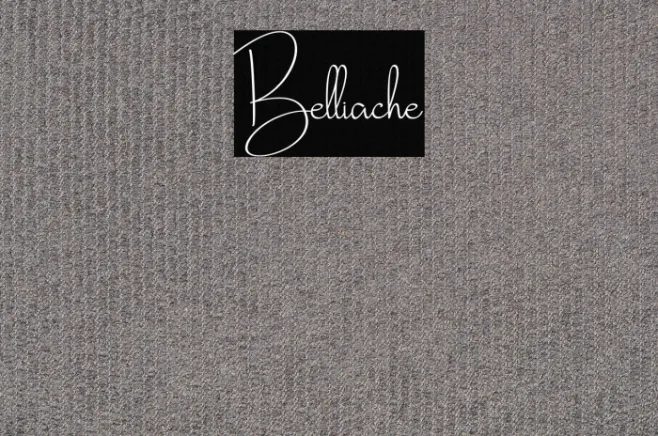 Belliache Example 2