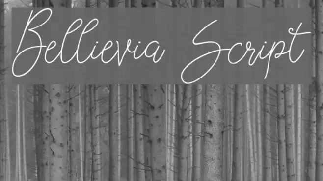 Bellievia Script Font examples