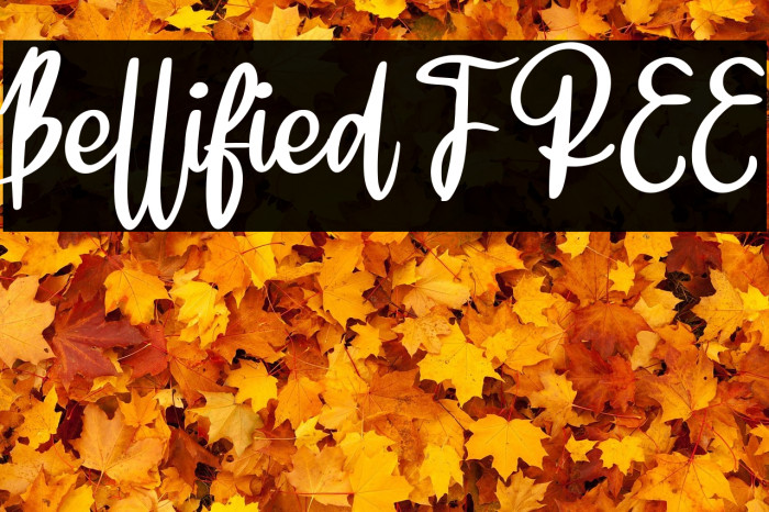 Bellified FREE Example 2