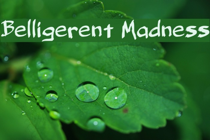 Belligerent Madness Font examples