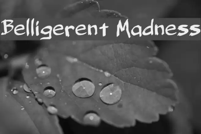 Belligerent Madness Font examples