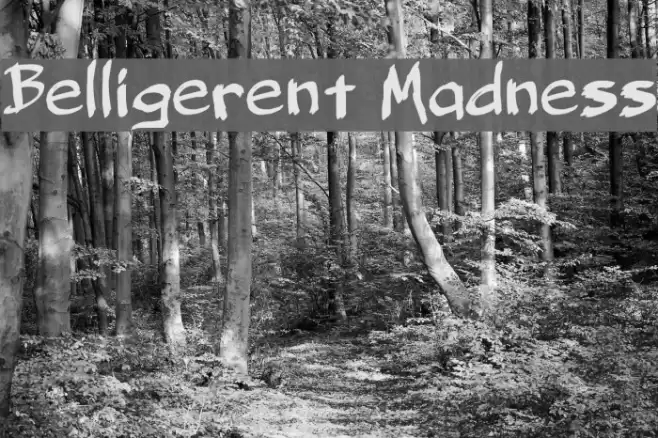 Belligerent Madness Font examples