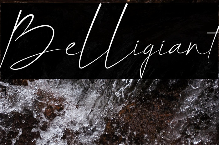 Belligiant Example 1