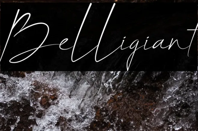 Belligiant Example 1