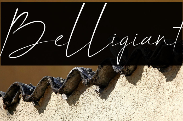 Belligiant Example 2