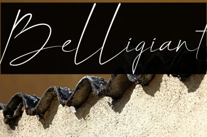 Belligiant Example 2