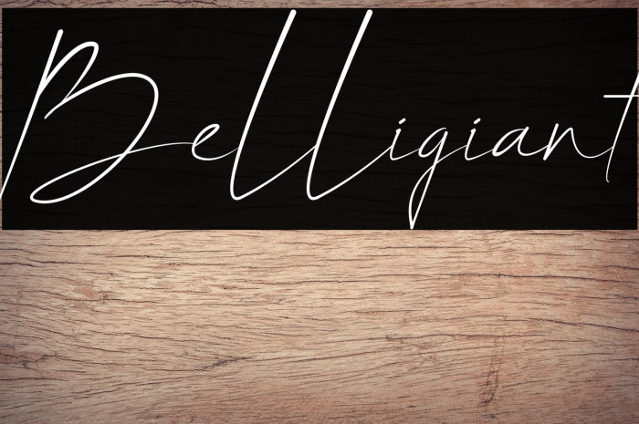 Belligiant Example 3