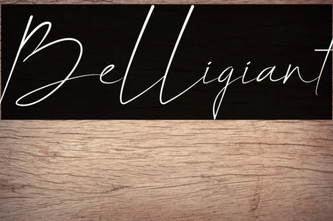 Belligiant Example 3