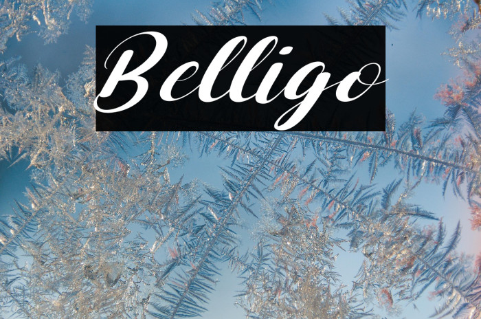 Belligo Example 1
