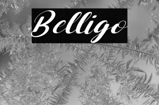 Belligo Font examples