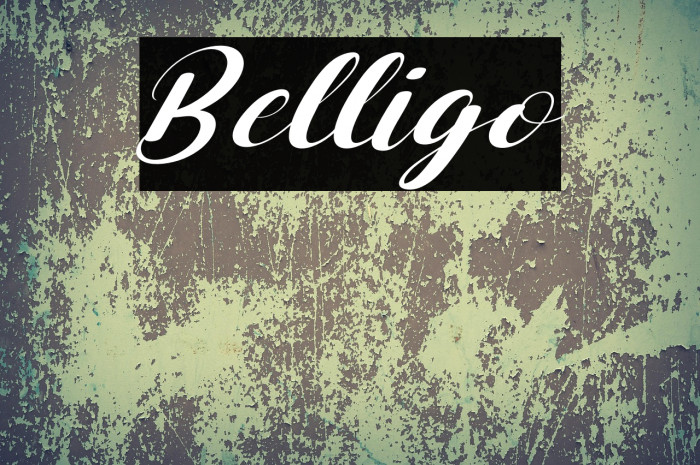 Belligo Example 2