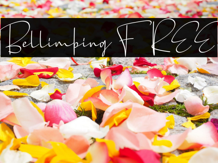 Bellimbing FREE Example 2