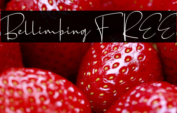 Bellimbing FREE Example 3