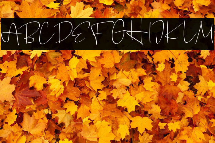 BellimbingFREE Example 3