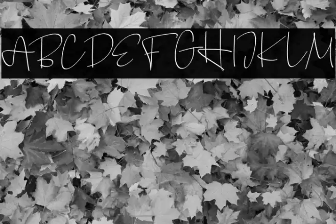 BellimbingFREE Font examples