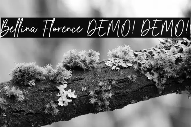 Bellina Florence DEMO! DEMO! Fonte examples
