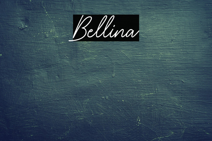 Bellina Example 1